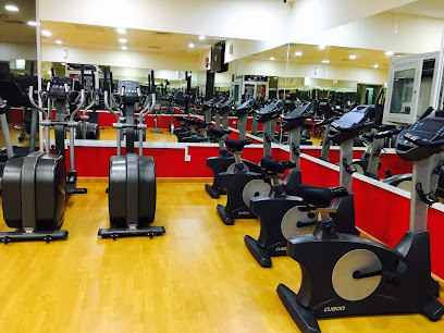 Ultra Power Gym - Dubai - +971 50 525 1081