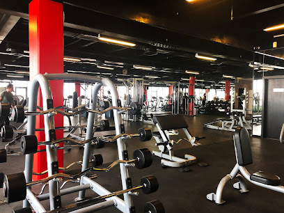 Metro Fit - Dubai - +971 52 300 3547