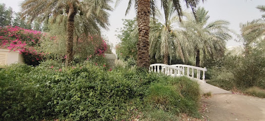 Wadi Dhaid Al Shamali - Dubai -