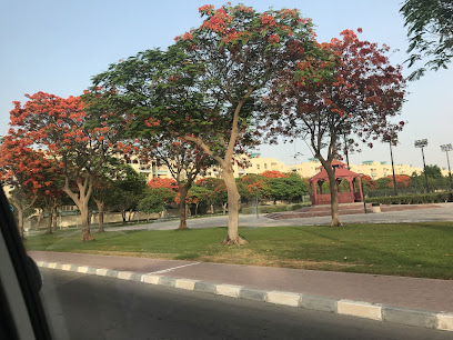 Ruwais Football ground - Ajman -