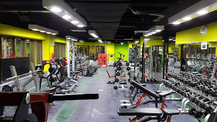SPEEDLINE GYM - Dubai - +971 55 133 4648