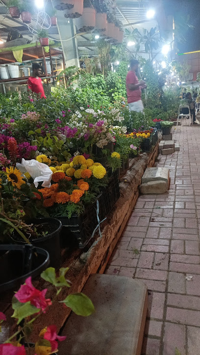 Joori plants nursery 06 - United Arab Emirates|Ajman Industrial 1 - Ajman