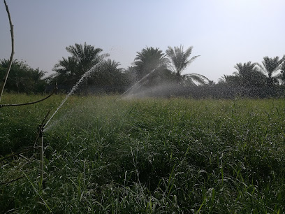 Rivaloo Farm - Ajman - +971 50 799 5363