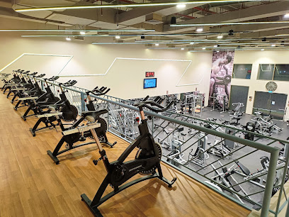 Health Square Fitness Club, RAK - Best Gym in RAK - Ajman - +971 56 110 4013