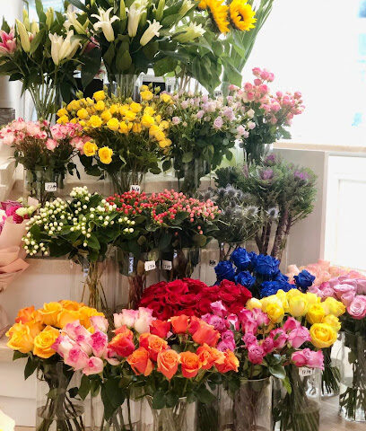 La Rosist Rose - Ajman - +971 50 336 3680