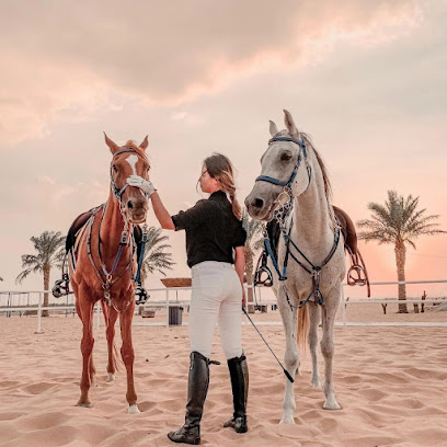 Horse Paradise - Dubai - +971 54 353 7561