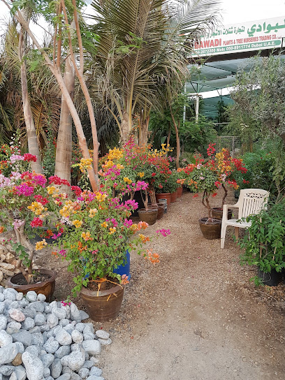 Bawadi plant nursery - United Arab Emirates|Warsan 3 - Dubai|1 Dina Home St