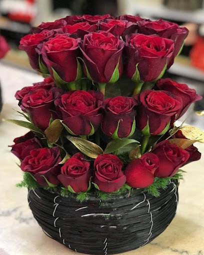 ROSABELLA TRADING FLOWERS - United Arab Emirates|Al Reem Island - Shams Abu Dhabi - Abu Dhabi