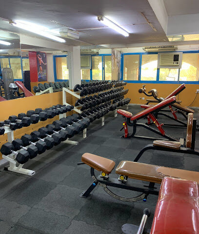 Texas Gym - Ajman - +971 3 766 5509
