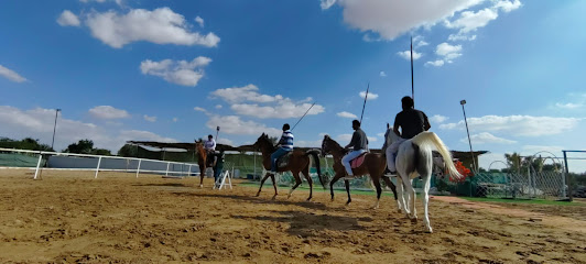 Moonlight Stable - Dubai - +971 55 901 1585