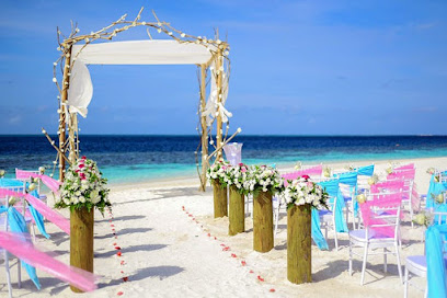 A&M Event Organizer - UAE - Ajman - +971 56 152 0599