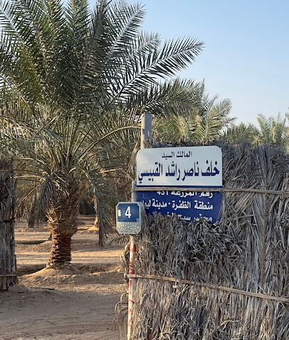 مزرعة خلف ناصر بن مسفر القبيسي - Ajman -