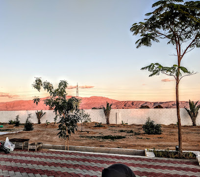 Alamadi Farm - Ajman -