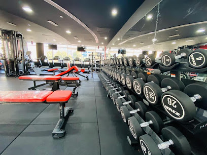 Muscle Factory Abu Dhabi - Dubai - +971 56 654 2447
