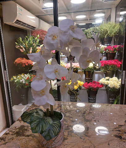Zohoor AL Reef Flower Shop - Ajman - +971 50 974 4885