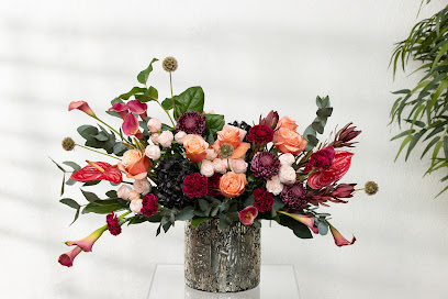 Camelia Flowers زهور كاميليا - Ajman - +971 2 207 2227