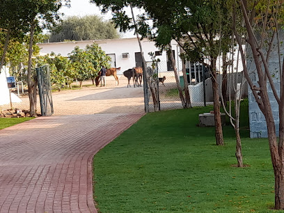 AlDahaisa Stables - Ajman - +971 56 145 5042