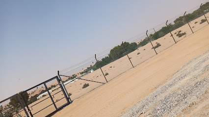 مزرعة سلطان بن حميد - Ajman -