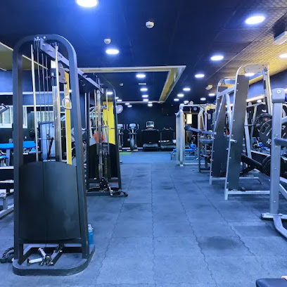 Al Saaf body building gym - Dubai - +971 52 309 9103