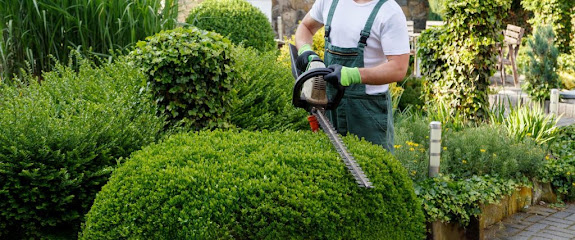 Garden Maintenance babar - Dubai - +971 50 650 3662