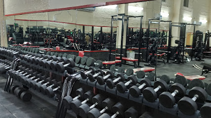 The Iconic Gym - Dubai - +971 50 182 0525