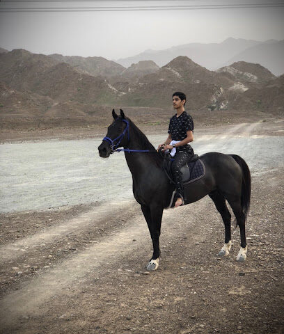 مربط الذويبة للخيول العربية الاصيله - Dubai -