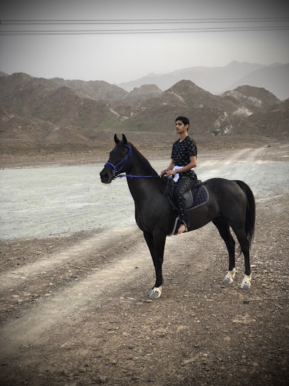 مربط الذويبة للخيول العربية الاصيله - United Arab Emirates|Al Bithnah - Fujairah|56XH+HHM
