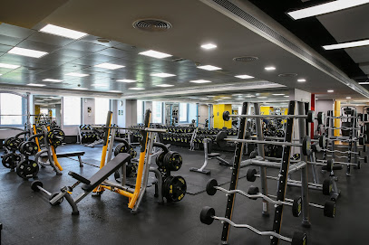 METROFITT Business Village - Dubai - +971 4 835 7937