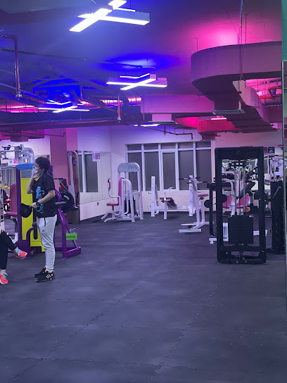 Cross Fit Gym Women - United Arab Emirates|Ajman|1 شارع الاتحاد|floor