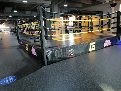 GymNation Khalidiyah Mall | Best Gym in Abu Dhabi - Dubai -