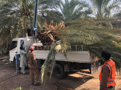 Farm Ali Abdalla Bin Nouma Alketbi - New - Ajman -