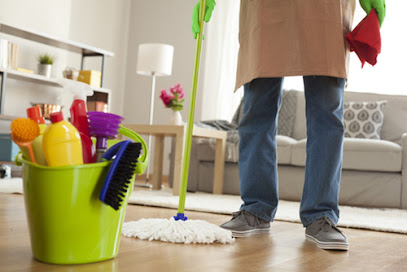 Dusty Might Cleaning Services LLC - Dubai - +971 55 456 6669
