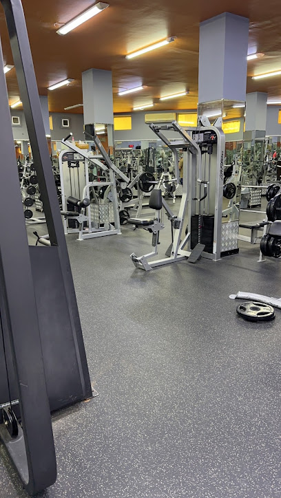 Fitness life gym - United Arab Emirates|Falaj Hazza' - Abu Dhabi|5PJJ+XRQ