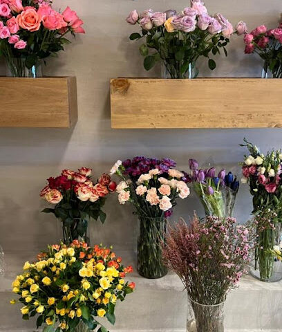 Life and Bloom - Ajman - +971 3 753 1562