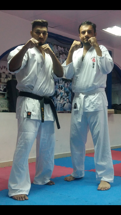 Asian Karate Centre - United Arab Emirates|Abu Dhabi|Mussafah Shabiya|F9W9+MV6