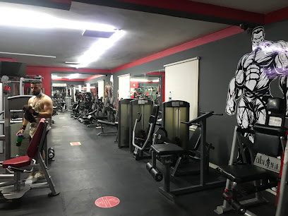 Max Life Fitness - Al Ain - Dubai - +971 55 677 5986