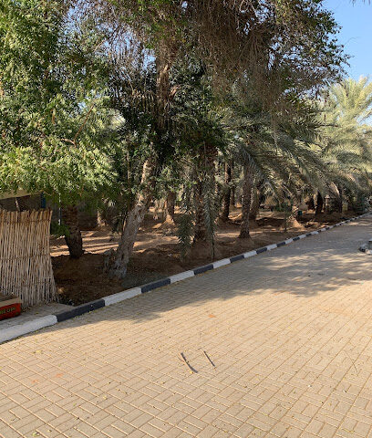 Local Farm RAK - Ajman - +971 52 884 3971