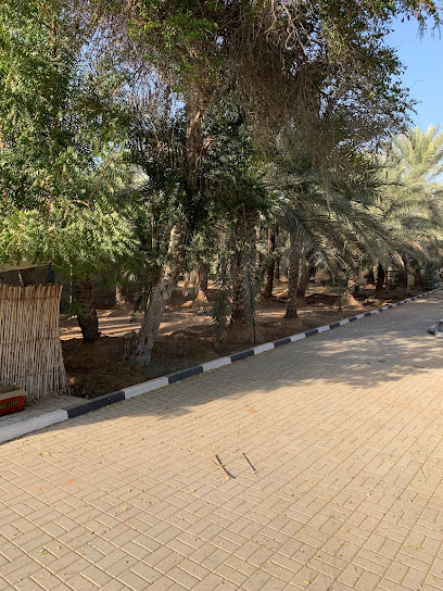 Local Farm RAK - United Arab Emirates|Ras Al-Khaimah|Unnamed Road|MX34+XRM