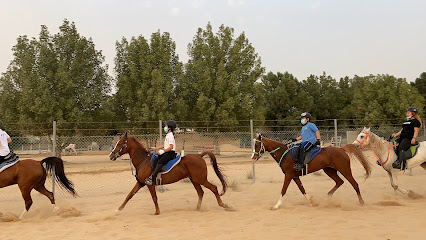 KADFOOR STABLES - Ajman - +971 50 156 1877