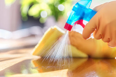 Beautiful star Cleaning Services LLC - Dubai - +971 55 442 4887