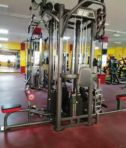 GOLDEN LOGO GYM (Gents & Ladies) - Dubai - +971 6 572 2497