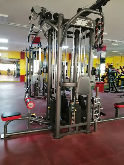 GOLDEN LOGO GYM (Gents & Ladies) - United Arab Emirates|Al Mareija - Sharjah|Mezzanine floor Al Arouba Street