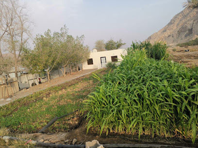 Farm House, RAK - Ajman - +971 50 750 0456