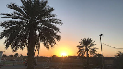 الريف الاخضر فارم (AlReef Green Farm ) - Ajman - +971 55 661 3966