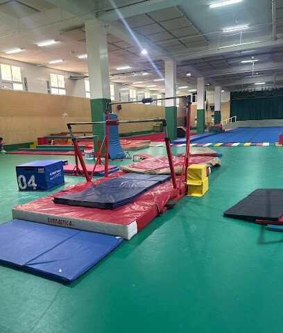 Champs Gymnastics - Dubai - +971 52 795 2335