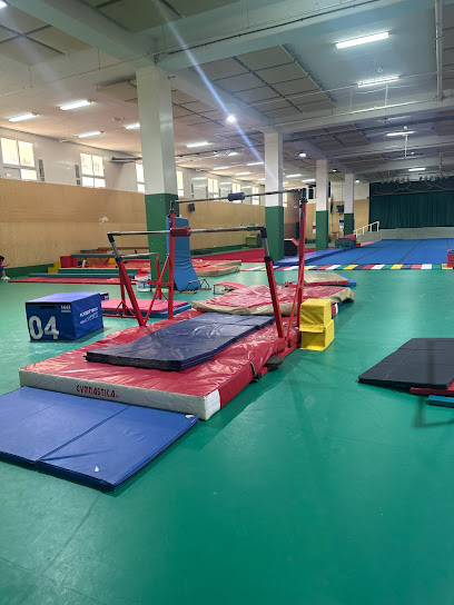 Champs Gymnastics - United Arab Emirates|Abu Dhabi|Al Nahda International school for girls Gate 2