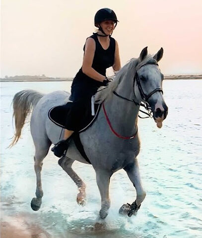 Horse Beach & Desert Riding | Abu Dhabi & Dubai - Dubai - +971 50 292 8456