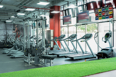 Snap Fitness - Dubai - +971 54 704 8619