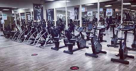 Triple A Gym L.L.C - Dubai - +971 50 160 5151