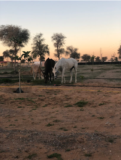 مزرعة بوحمدان - United Arab Emirates|Ras al Khaimah|Unnamed Road